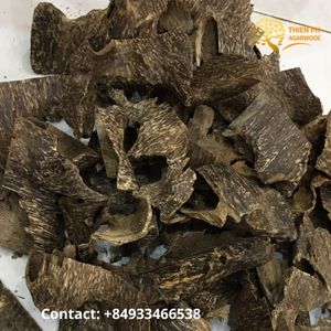 Tarad Agarwood ( زاوية العود )